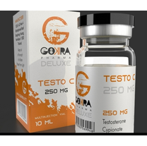 Gokira Testo C 250 US