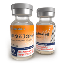 SP Equipoise