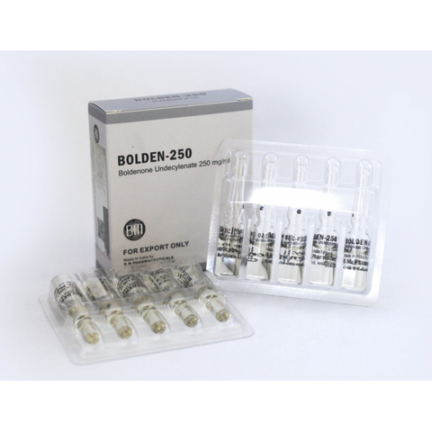 Buy BM Bolden 250 online