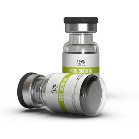 Buy Dragon HCG 5000iu online