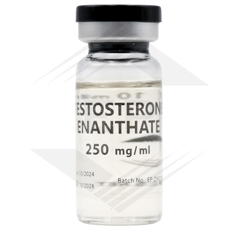 Buy Testosterone Enanthate Euro online