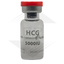 Image 1 - HCG 5000 Euro - Euro Pharmacies buy online. Human Chorionic Gonadotropin