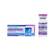 BP Enandrol 10ml