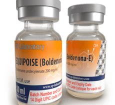 SP Equipoise