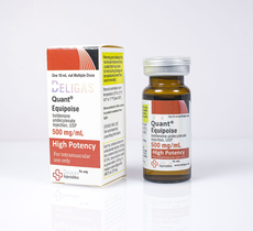 Beligas Quant-Equipoise 500 US