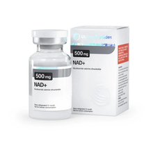 Ultima-NAD+ 500 US