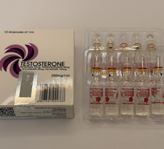 Landex Sustanon 250