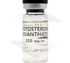 Testosterone Enanthate Euro