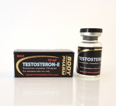 BodyPharm Testosteron E