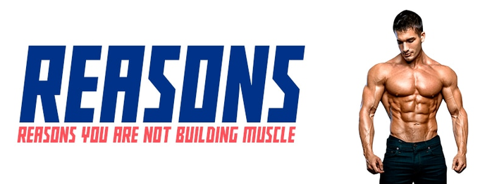 Reasons you are not building muscle